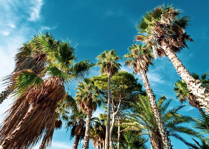 Lo Stagnone Beachfront Kailani